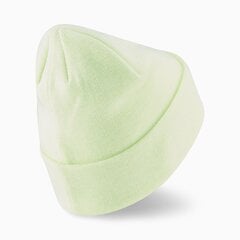 Vabaaja müts Puma Archive heather beanie Pistachio - 02173921 02173921.Adult цена и информация | Женские шапки | kaup24.ee