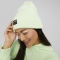 Vabaaja müts Puma Archive heather beanie Pistachio - 02173921 02173921.Adult цена и информация | Naiste mütsid ja peapaelad | kaup24.ee