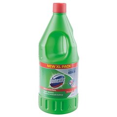 Domestos WC-poti puhastusvahend okaspuu värskus, 2 l цена и информация | Очистители | kaup24.ee