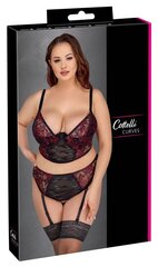 Комплект нижнего белья Cottelli Curves, черный цвет, 95D/XXL цена и информация | Сексуальное женское белье | kaup24.ee