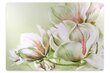 Põrandat kaitsev matt Decormat, Magnoolia lilled цена и информация | Kontoritoolid | kaup24.ee