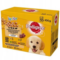 Pedigree Junior koertele koos riisiga, 48x100 g hind ja info | Konservid koertele | kaup24.ee