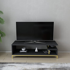 TV alus Asir, 120x44,6x37,6 cm, kuldne/hall hind ja info | TV alused | kaup24.ee