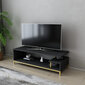 TV alus Asir, 120x44,6x37,6 cm, kuldne/hall hind ja info | TV alused | kaup24.ee