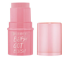 Skaistalai Essence Baby Got Blush, 10 оттенков Tickle Me Pink, 5,5 г цена и информация | Бронзеры (бронзаторы), румяна | kaup24.ee