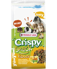 Корм Versele-Laga Crispy Snack Fibers, 650 г цена и информация | Корм для грызунов | kaup24.ee