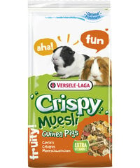 TOIT MERISEA CAVIA CRISPY 1KG /70003/ цена и информация | Корм для грызунов | kaup24.ee