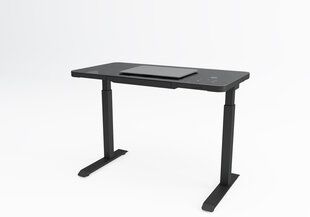 Reguleeritav laud Ergostock Home 120x60 cm, must hind ja info | Arvutilauad, kirjutuslauad | kaup24.ee