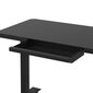 Reguleeritav laud Ergostock Home 120x60 cm, must hind ja info | Arvutilauad, kirjutuslauad | kaup24.ee