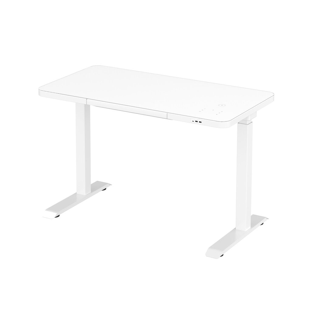 Reguleeritav laud Ergostock Home 120x60 white hind ja info | Arvutilauad, kirjutuslauad | kaup24.ee