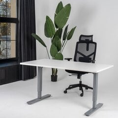 Регулируемый стол Ergostock Forza line, 160x80 см, белый/цвета антрацита цена и информация | Компьютерные, письменные столы | kaup24.ee