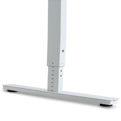 Reguleeritav laud Ergostock Forza line 180x80 cm, valge цена и информация | Компьютерные, письменные столы | kaup24.ee