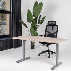 Регулируемый стол Ergostock Forza line, 160x80 см, цвета ореха/цвета антрацита цена и информация | Компьютерные, письменные столы | kaup24.ee
