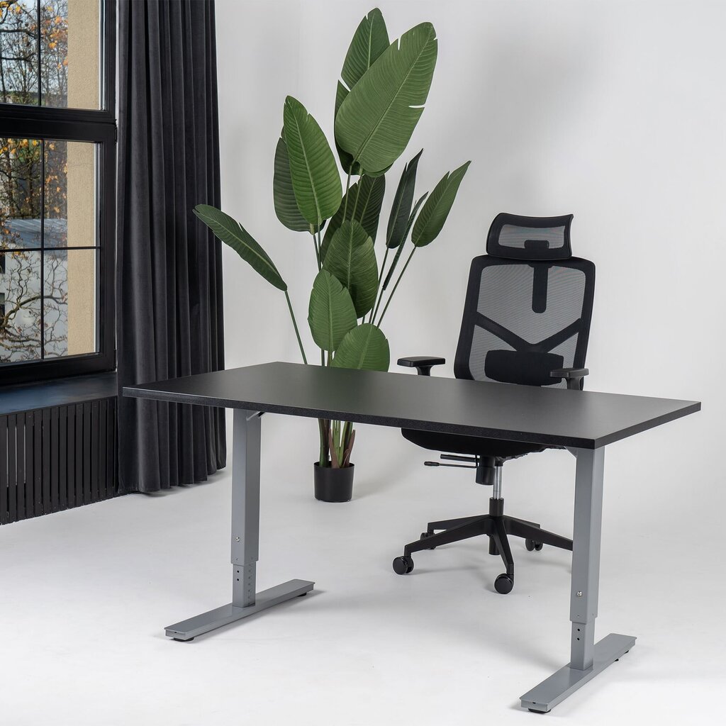 Reguleeritav laud Ergostock Forza line 180x80 cm, mitmevärviline hind ja info | Arvutilauad, kirjutuslauad | kaup24.ee