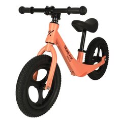 Trike Fix Active X2 Велосипед цена и информация | Детский трехколесный велосипед - коляска с удобной ручкой управления для родителей Riff F95941 2в1, фиолетовый | kaup24.ee