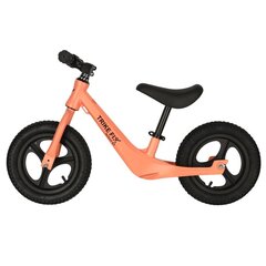 Trike Fix Active X2 Велосипед цена и информация | Детский трехколесный велосипед - коляска с удобной ручкой управления для родителей Riff F95941 2в1, фиолетовый | kaup24.ee