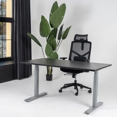 Регулируемый стол Ergostock Unico line, 120x65 см, цвета ореха/цвета антрацита цена и информация | Компьютерные, письменные столы | kaup24.ee