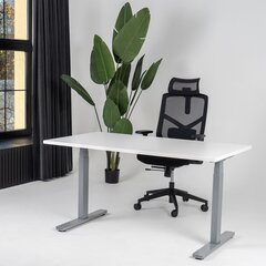 Регулируемый стол Ergostock Unico line, 120x65 см, цвета ореха/цвета антрацита цена и информация | Компьютерные, письменные столы | kaup24.ee