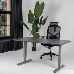 Регулируемый стол Ergostock Forza line, 120x65 см, цвета антрацита цена и информация | Компьютерные, письменные столы | kaup24.ee