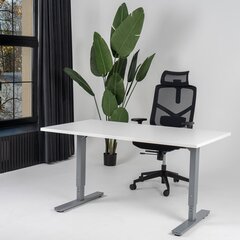 Регулируемый стол Ergostock Forza line, 120x65 см, цвета ореха/цвета антрацита цена и информация | Компьютерные, письменные столы | kaup24.ee