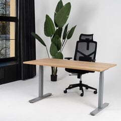 Регулируемый стол Ergostock Unico line, 160x80 см, цвета ореха/цвета антрацита цена и информация | Компьютерные, письменные столы | kaup24.ee