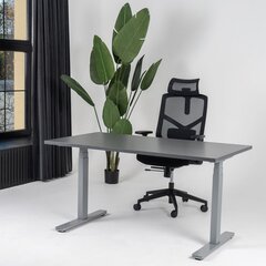 Регулируемый стол Ergostock Unico line, 160x80 см, цвета ореха/цвета антрацита цена и информация | Компьютерные, письменные столы | kaup24.ee