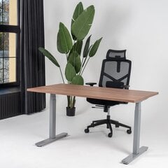 Регулируемый стол Ergostock Unico line, 140x80 см, цвета ореха/цвета антрацита цена и информация | Компьютерные, письменные столы | kaup24.ee