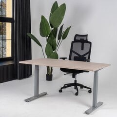 Регулируемый стол Ergostock Unico line, 140x80 см, цвета ореха/цвета антрацита цена и информация | Компьютерные, письменные столы | kaup24.ee