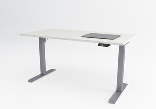 Регулируемый стол Ergostock Unico line, 120x80 см, цвета ореха/цвета антрацита цена и информация | Компьютерные, письменные столы | kaup24.ee