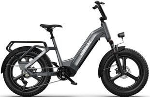 Электровелосипед Himiway Big Dog, 20", черный, 250Вт, 20Ач LG цена и информация | Электровелосипеды | kaup24.ee