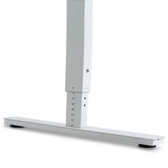 Регулируемый стол Ergostock Forza line, 120x65 см, белый цена и информация | Компьютерные, письменные столы | kaup24.ee