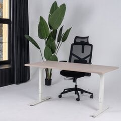 Reguleeritav laud Ergostock Forza line 120x65 cm, mitmevärviline цена и информация | Компьютерные, письменные столы | kaup24.ee