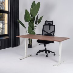 Регулируемый стол Ergostock Forza line, 120x80 см, цвета ореха/цвета антрацита цена и информация | Компьютерные, письменные столы | kaup24.ee