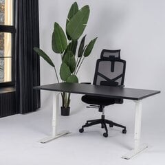 Регулируемый стол Ergostock Forza line, 140x80 см, цвета ореха/цвета антрацита цена и информация | Компьютерные, письменные столы | kaup24.ee