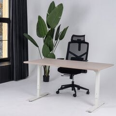 Регулируемый стол Ergostock Forza line, 140x80 см, цвета ореха/цвета антрацита цена и информация | Компьютерные, письменные столы | kaup24.ee