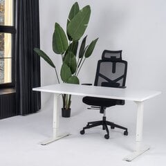 Регулируемый стол Ergostock Forza line, 160x80 см, белый цена и информация | Компьютерные, письменные столы | kaup24.ee