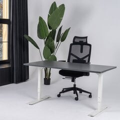 Reguleeritav laud Ergostock Forza line 160x80 cm, mitmevärviline hind ja info | Arvutilauad, kirjutuslauad | kaup24.ee