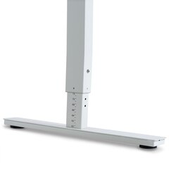 Reguleeritav laud Ergostock Forza line 180x80 cm, valge hind ja info | Arvutilauad, kirjutuslauad | kaup24.ee