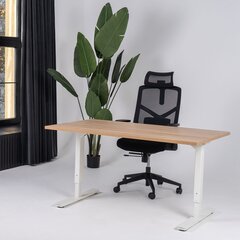 Reguleeritav laud Ergostock Forza line 180x80 cm, mitmevärviline цена и информация | Компьютерные, письменные столы | kaup24.ee