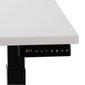 Reguleeritav laud Ergostock Prestige line 120x65 cm, mitmevärviline цена и информация | Arvutilauad, kirjutuslauad | kaup24.ee