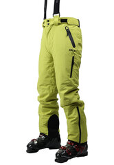 Мужские лыжные брюки Trespass, зеленые цена и информация | Мужская лыжная одежда | kaup24.ee