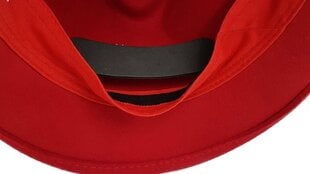 Устройство смены размера шляпы цена и информация | Мужские шарфы, шапки, перчатки | kaup24.ee