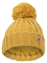 Müts poistele Trespass, kollane цена и информация | Шапки, перчатки, шарфы для мальчиков | kaup24.ee