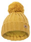 Müts poistele Trespass, kollane hind ja info | Poiste mütsid, sallid, kindad | kaup24.ee