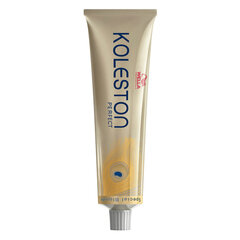 Juuksevärv Wella Professionals, 12/03 Special Natural Golden Blonde, 60 ml hind ja info | Juuksevärvid | kaup24.ee