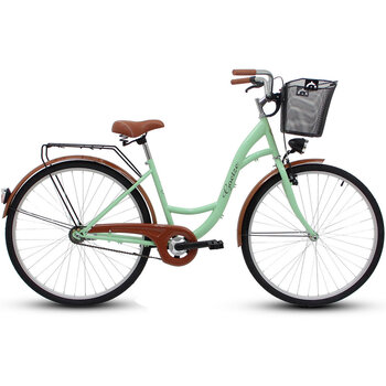 Женский городской велосипед Goetze Eco 28", светло-зеленый/коричневый цена и информация | Велосипеды | kaup24.ee