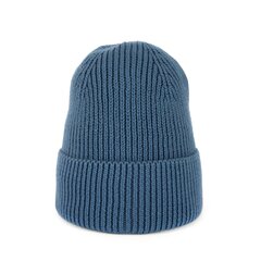 Müts Art of Polo cz23307-1 hind ja info | Meeste sallid, mütsid ja kindad | kaup24.ee