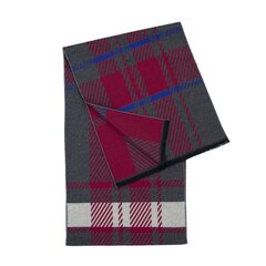Art of Polo Шарф | серый, красный sz23418-3 цена и информация | Мужские шарфы, шапки, перчатки | kaup24.ee