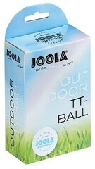 Мячи для настольного тенниса Joola Outdoor NEW, 6шт, белые цена и информация | Мячи для настольного тенниса | kaup24.ee