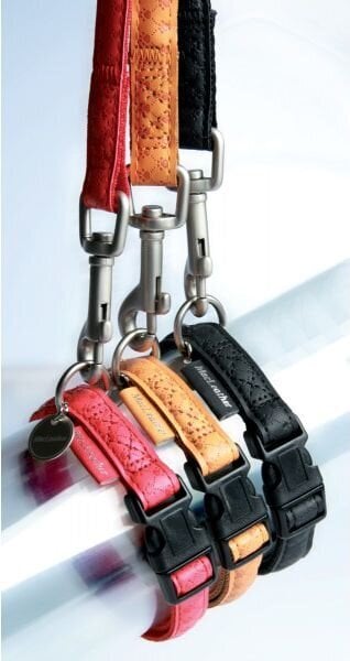 Jalutusrihm koertele Zolux Mac Leather, 15 mm/1,2 m, punane hind ja info | Koerte jalutusrihmad | kaup24.ee